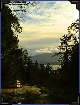 Old road down Birchell Hill, Thetis Island, BC